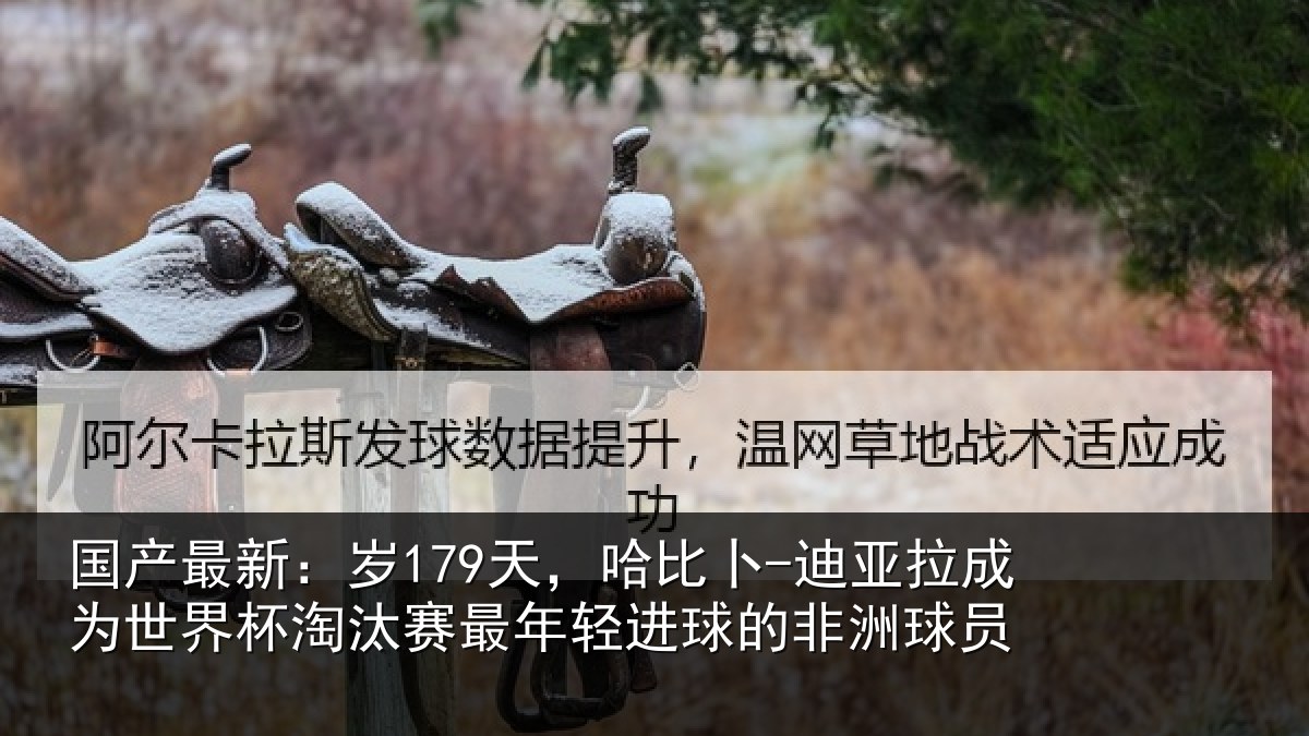 国产最新:岁179天,哈比卜-迪亚拉成为世界杯淘汰赛最年轻进球的非洲球员