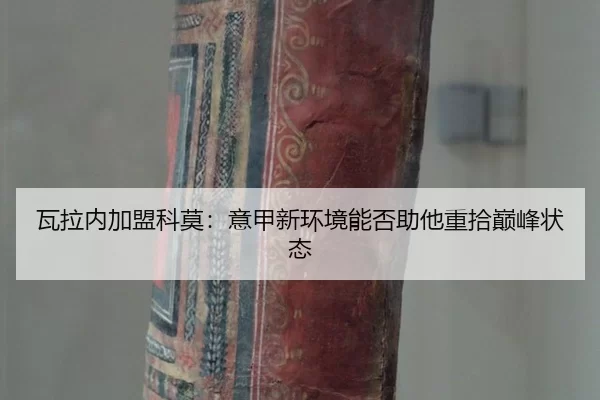 wa-la-nei-jia-meng-ke-mo-yi-jia-xin-huan-jing-neng-fou-zhu-ta-zhong-shi-dian-feng-zhuang-tai-2-832.jpg