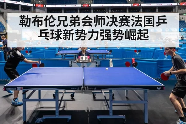 勒布伦兄弟会师决赛法国乒乓球新势力强势崛起